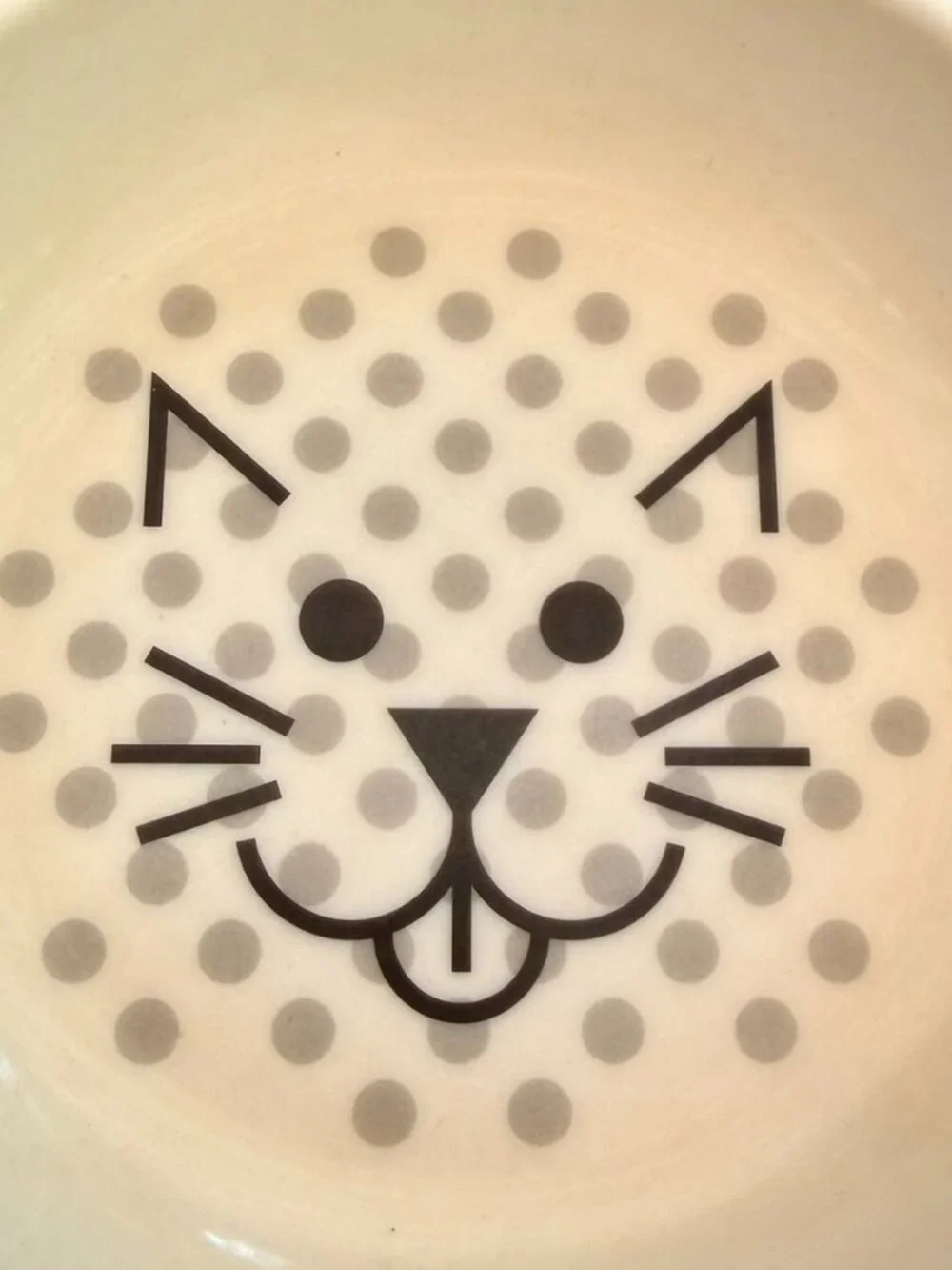 🐾PET | Van Ness Ecoware Non‑Skid Cat Bowls (Set-2) – BPA‑Free, Whisker‑Friendly